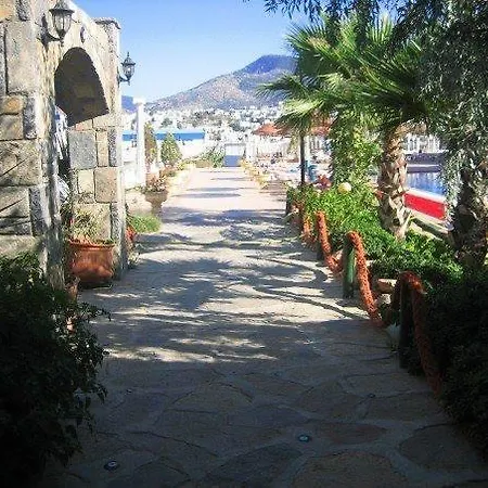 Club Bozok 3* Gumbet