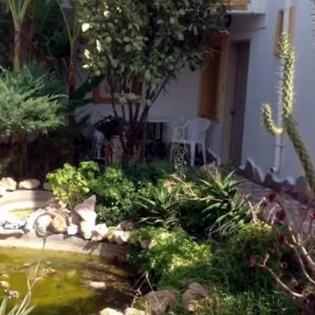 Club Bozok Appart hôtel Gümbet